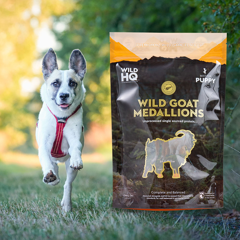 Šareni ekološki prihvatljiv digitalni ispis - niska vrećica za kavu